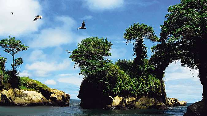 Parque Nacional Natural Uramba Bahía Málaga