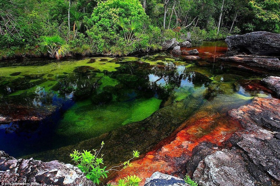 Caño Cristales