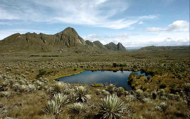 Parque Nacional Natural Sumapaz