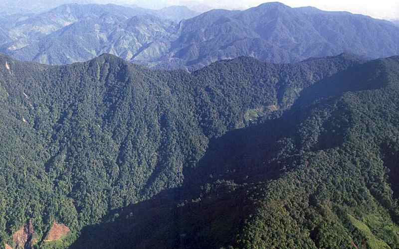 Catatumbo Barí