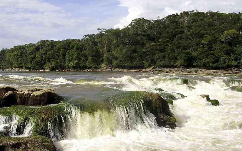 Reserva Nacional Natural El Tuparro