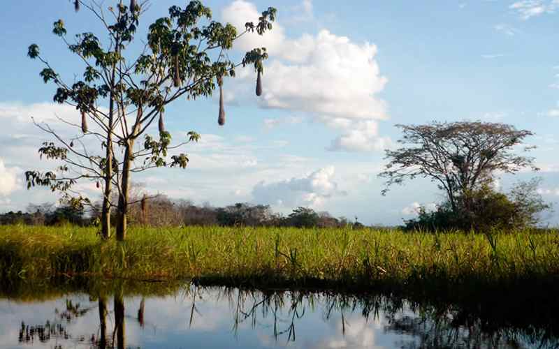 Parque Nacional Natural La Paya