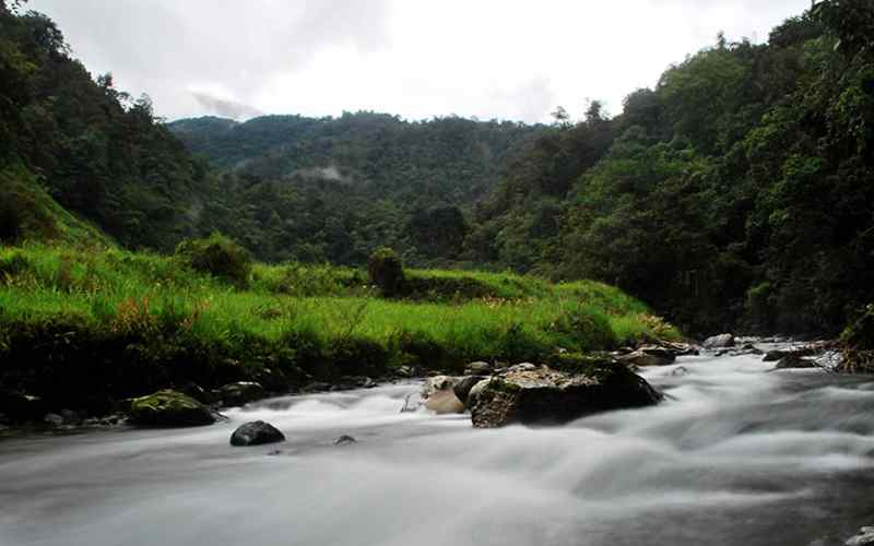 Parque Nacional Natural Las Orquídeas