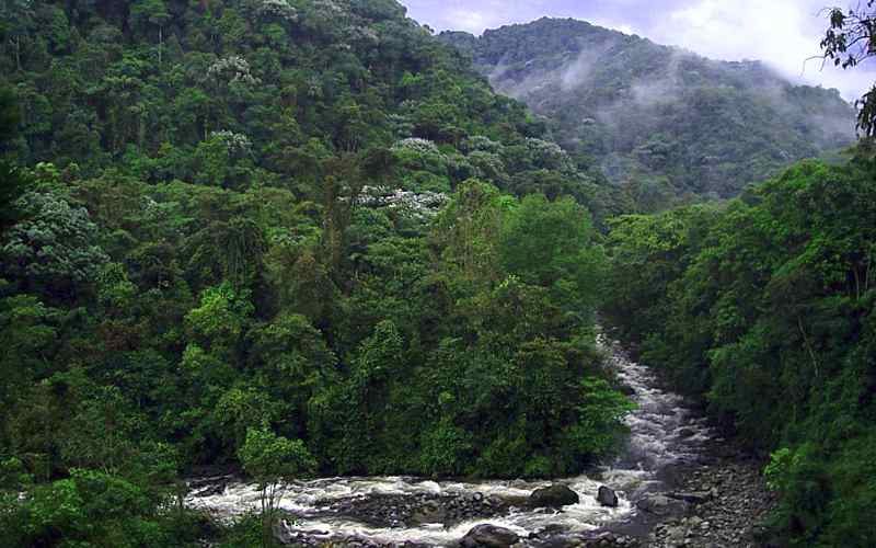 Santuario de Flora y Fauna Guanentá Otun Quimbaya