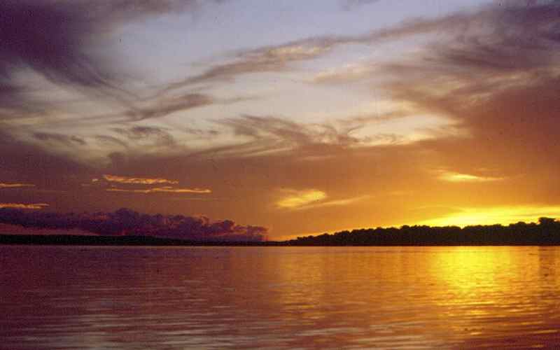 Parque Nacional Natural Río Puré