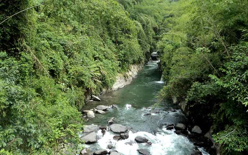 Parque Nacional Natural Selva de Florencia