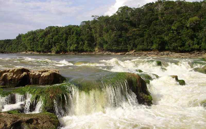 Parque Nacional Natural Yaigojé Apaporis