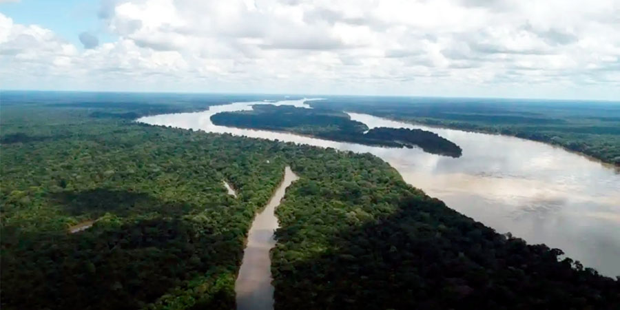 Parque Nacional Natural Río Puré