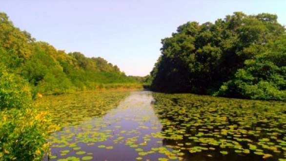 Parque Nacional Natural Isla de Salamanca