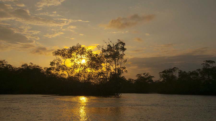 Parque Nacional Natural Sanquianga