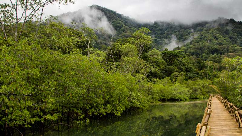 Parque Nacional Natural Ensenada de Utría