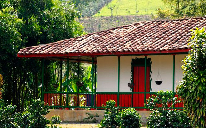 Paisaje Cafetero