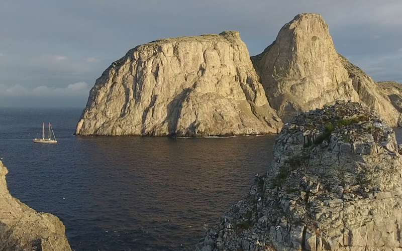 Malpelo