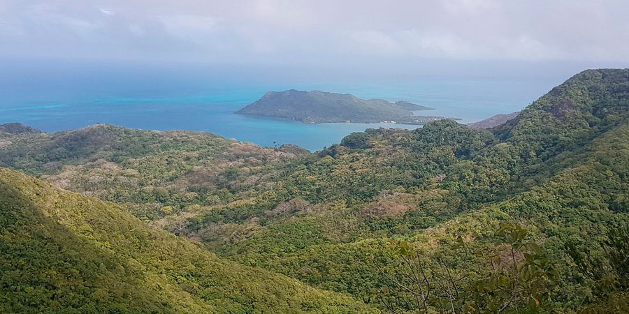Reserva Forestal El Pico - Providencia