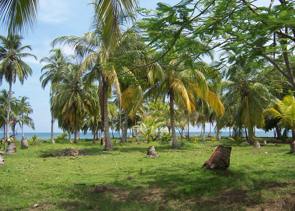 Palma Island