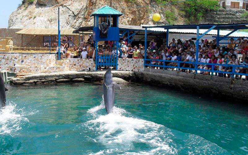 Acuario y museo del mar
