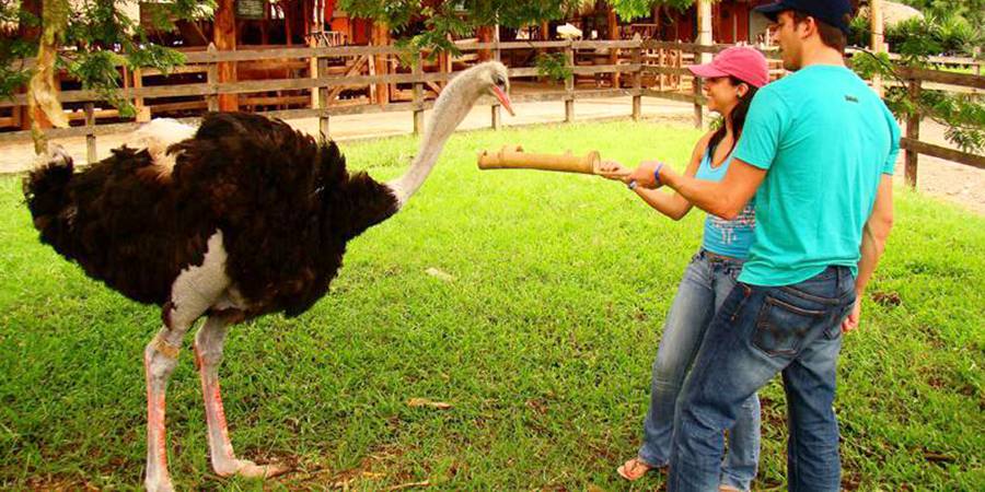 Parque Panaca.¿

