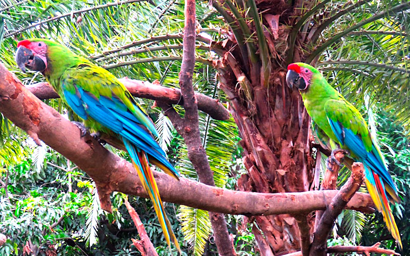 Parque zoológico Santa Fe